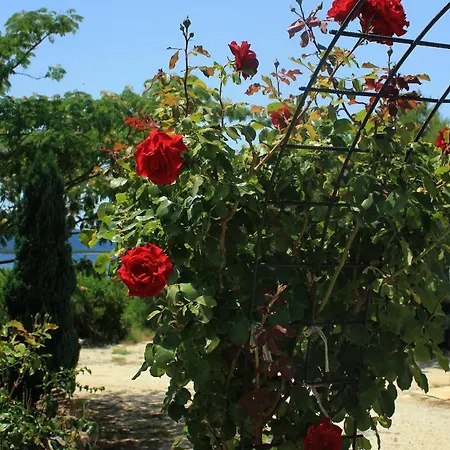 By The Sea Loviste, Peljesac - 10255 Διαμέρισμα *