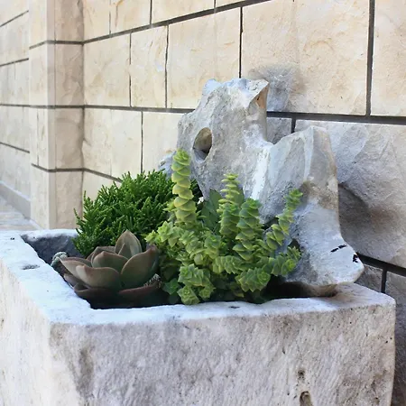 By The Sea Loviste, Peljesac - 10255 Lovište