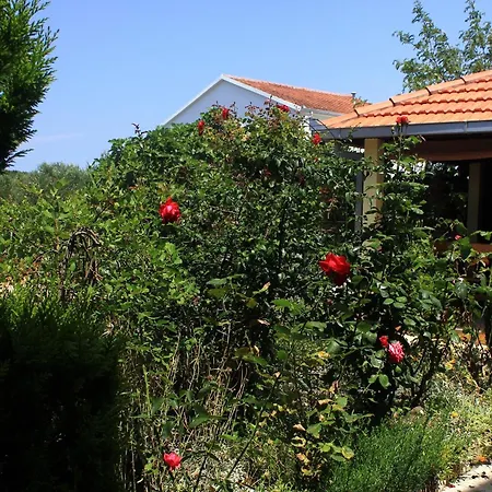 By The Sea Loviste, Peljesac - 10255