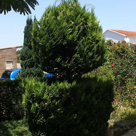 By The Sea Loviste, Peljesac - 10255