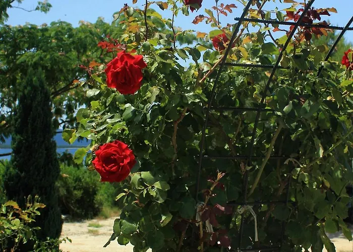 By The Sea Loviste, Peljesac - 10255 Appartamento *