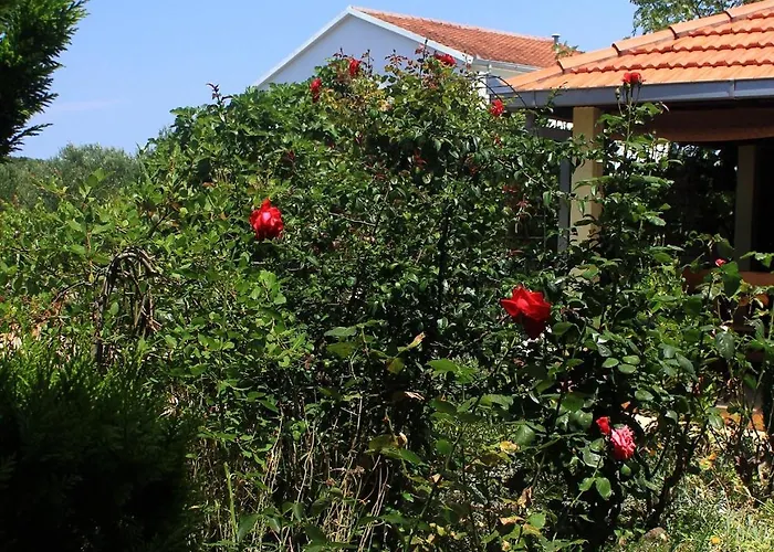 By The Sea Loviste, Peljesac - 10255