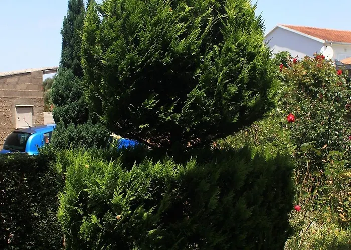 By The Sea Loviste, Peljesac - 10255